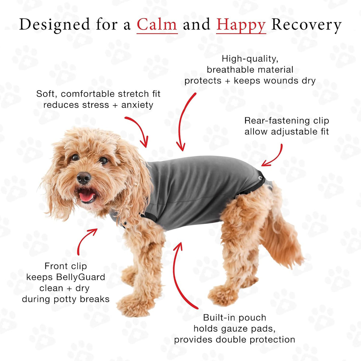 Dog Surgery Recovery Suit, Male Female After Spay Neuter Onesie