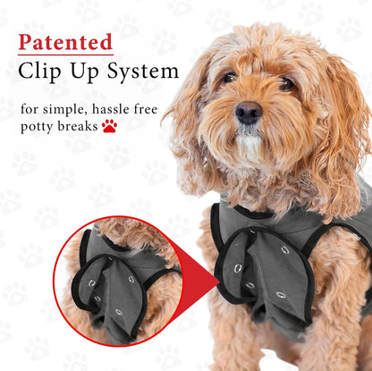 Dog Surgery Recovery Suit, Male Female After Spay Neuter Onesie