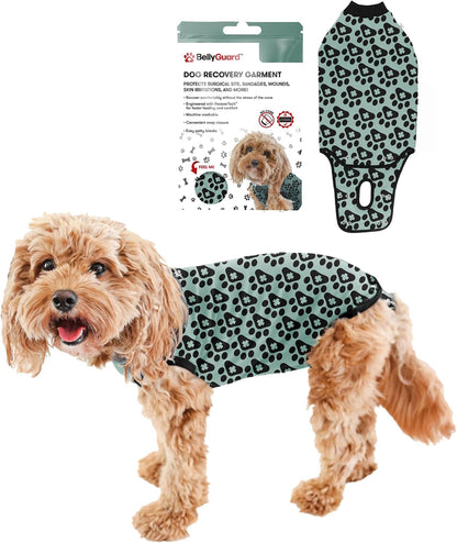 Dog Surgery Recovery Suit, Male Female After Spay Neuter Onesie
