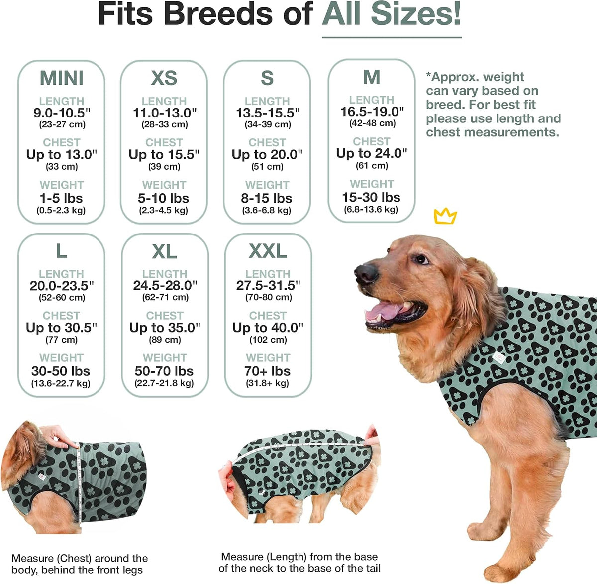 Dog Surgery Recovery Suit, Male Female After Spay Neuter Onesie