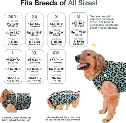 Dog Surgery Recovery Suit, Male Female After Spay Neuter Onesie
