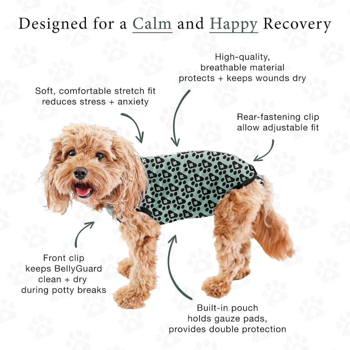 Dog Surgery Recovery Suit, Male Female After Spay Neuter Onesie