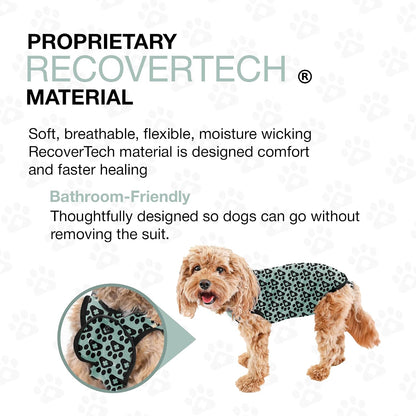 Dog Surgery Recovery Suit, Male Female After Spay Neuter Onesie