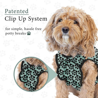 Dog Surgery Recovery Suit, Male Female After Spay Neuter Onesie
