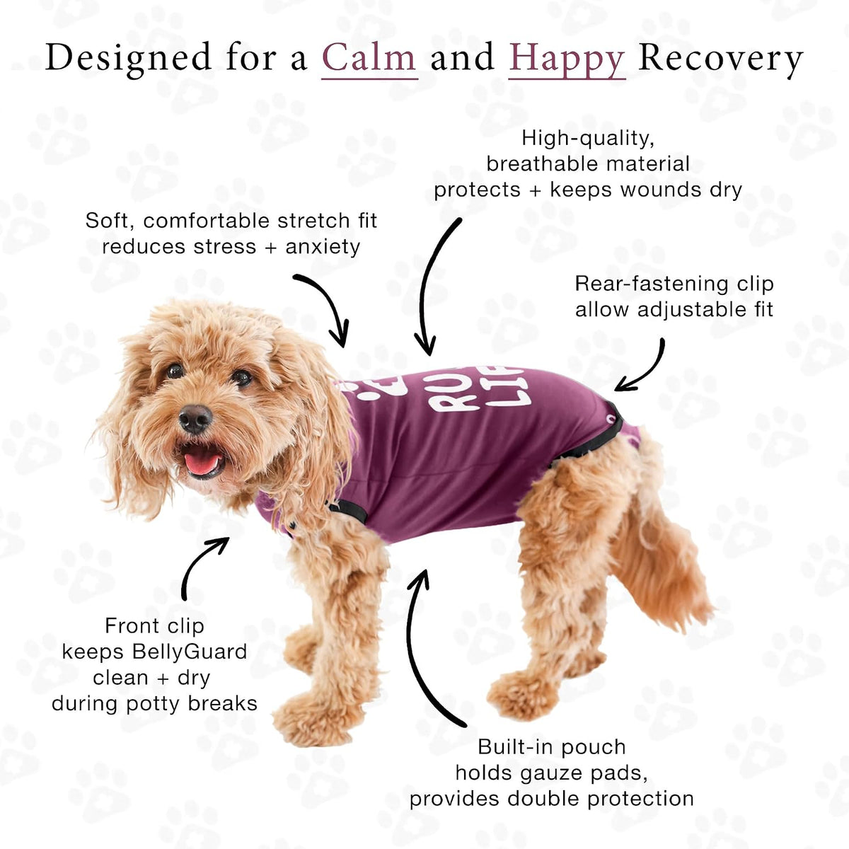 Dog Surgery Recovery Suit, Male Female After Spay Neuter Onesie