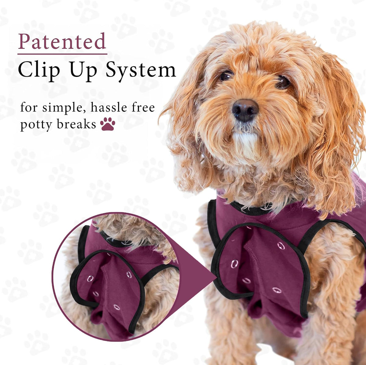 Dog Surgery Recovery Suit, Male Female After Spay Neuter Onesie