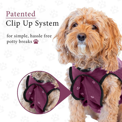 Dog Surgery Recovery Suit, Male Female After Spay Neuter Onesie