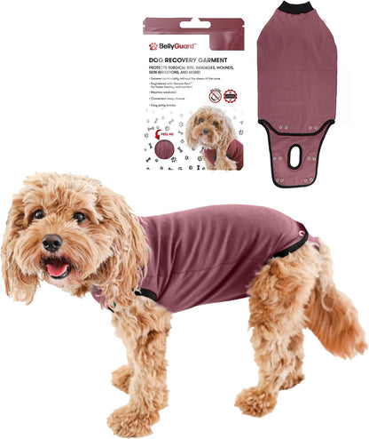 Dog Surgery Recovery Suit, Male Female After Spay Neuter Onesie