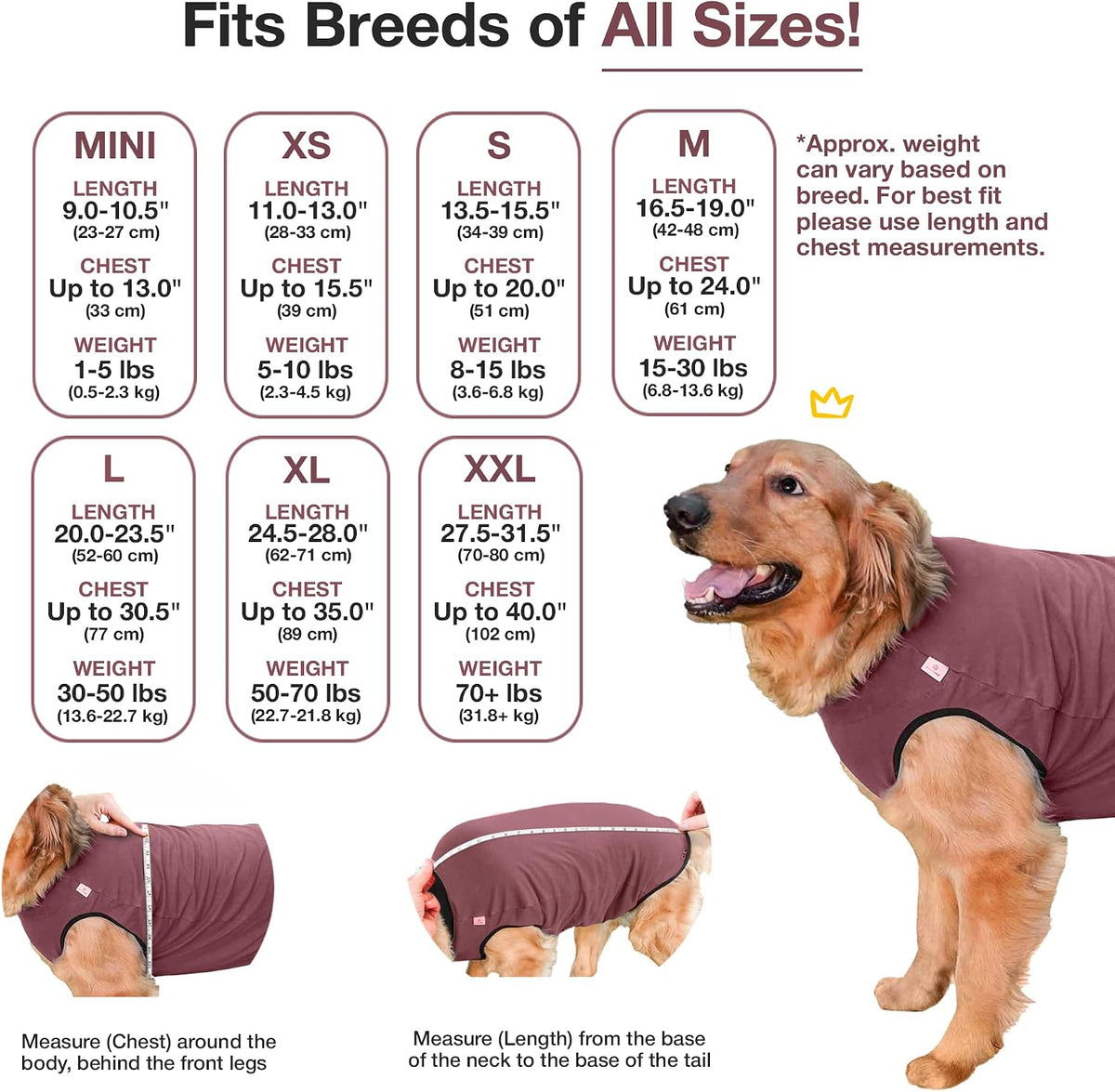 Dog Surgery Recovery Suit, Male Female After Spay Neuter Onesie