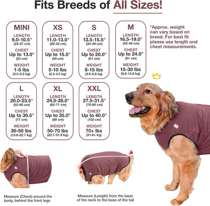 Dog Surgery Recovery Suit, Male Female After Spay Neuter Onesie