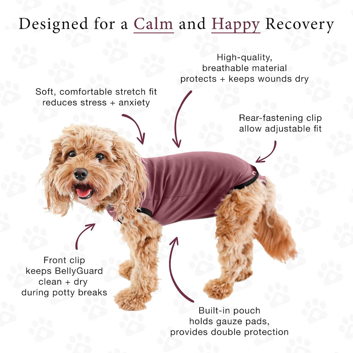 Dog Surgery Recovery Suit, Male Female After Spay Neuter Onesie