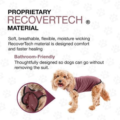 Dog Surgery Recovery Suit, Male Female After Spay Neuter Onesie