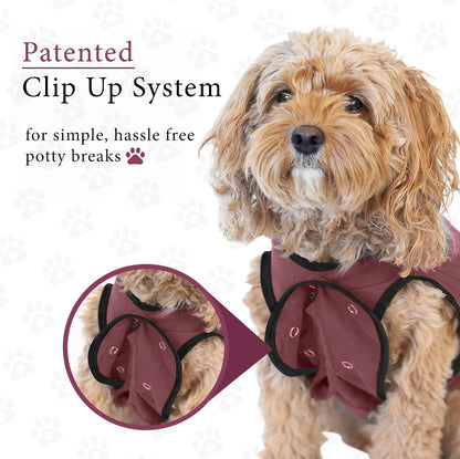 Dog Surgery Recovery Suit, Male Female After Spay Neuter Onesie