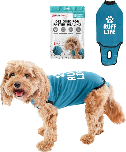 Dog Surgery Recovery Suit, Male Female After Spay Neuter Onesie