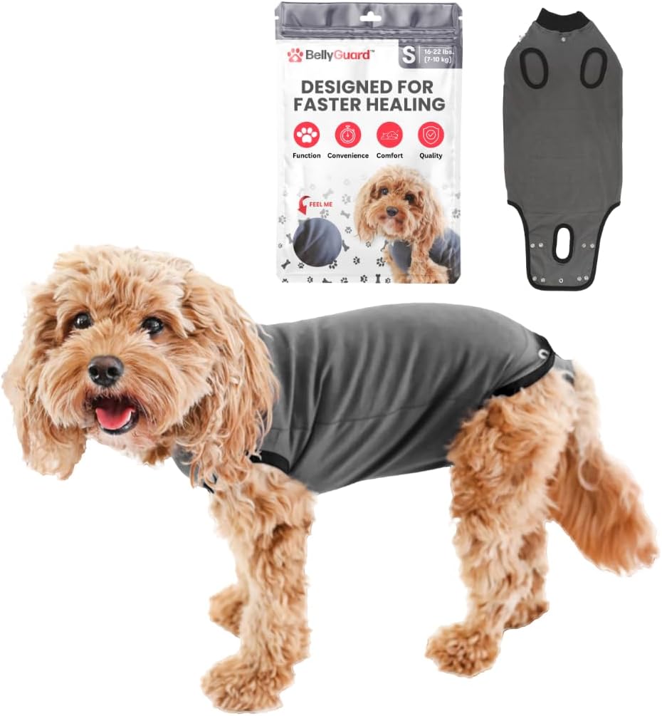 Dog Surgery Recovery Suit, Male Female After Spay Neuter Onesie