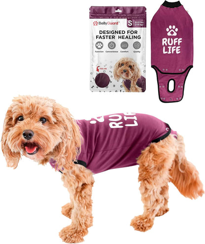 Dog Surgery Recovery Suit, Male Female After Spay Neuter Onesie