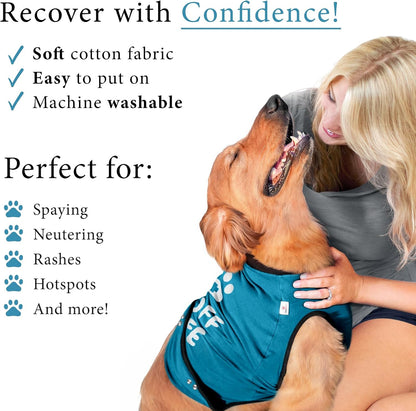 Dog Surgery Recovery Suit, Male Female After Spay Neuter Onesie
