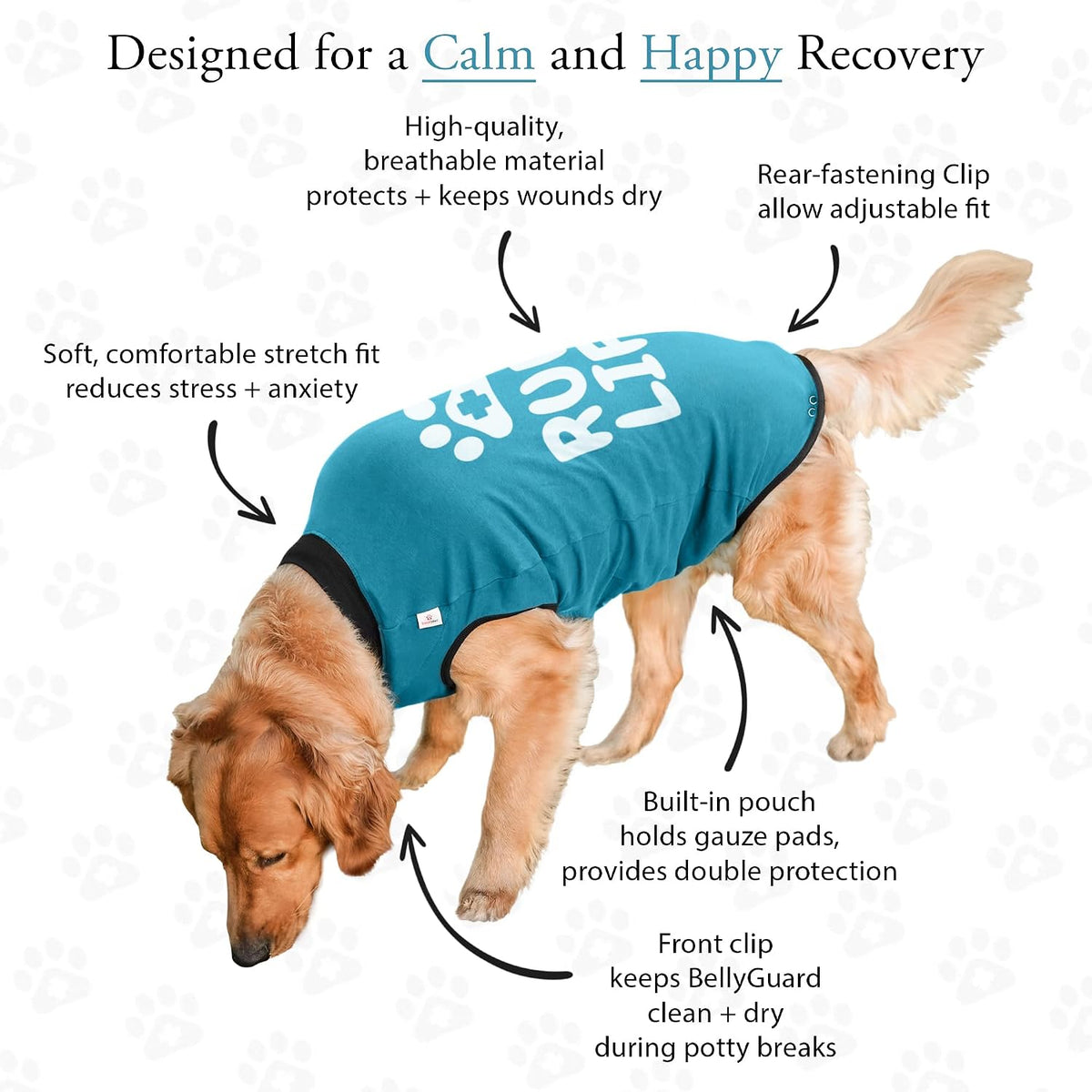 Dog Surgery Recovery Suit, Male Female After Spay Neuter Onesie