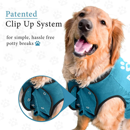 Dog Surgery Recovery Suit, Male Female After Spay Neuter Onesie