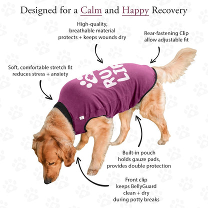 Dog Surgery Recovery Suit, Male Female After Spay Neuter Onesie