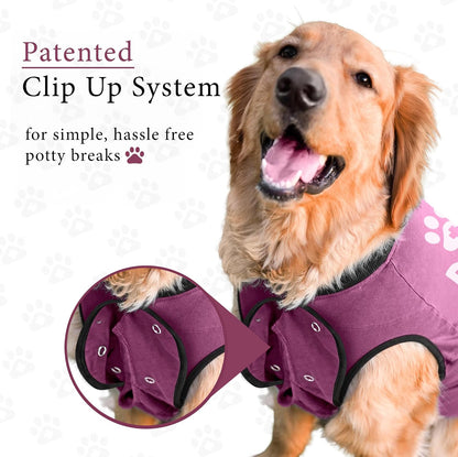 Dog Surgery Recovery Suit, Male Female After Spay Neuter Onesie