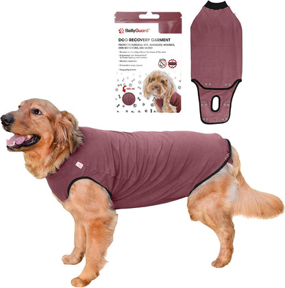 Dog Surgery Recovery Suit, Male Female After Spay Neuter Onesie