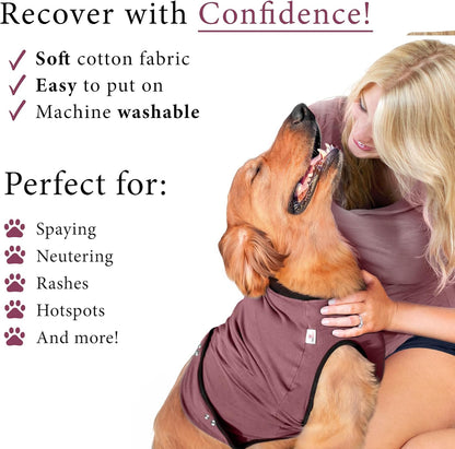 Dog Surgery Recovery Suit, Male Female After Spay Neuter Onesie