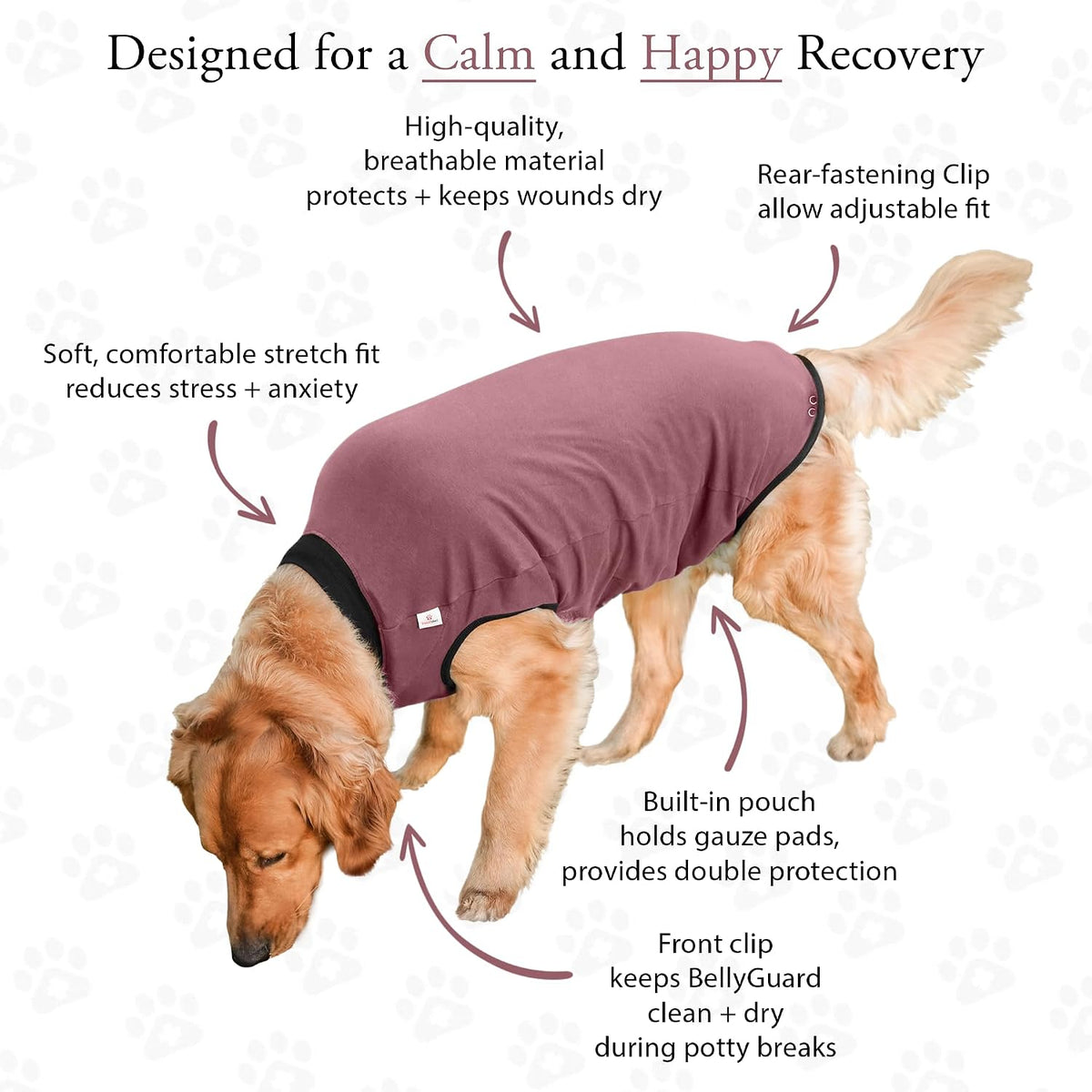 Dog Surgery Recovery Suit, Male Female After Spay Neuter Onesie