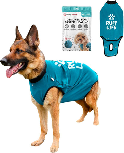Dog Surgery Recovery Suit, Male Female After Spay Neuter Onesie