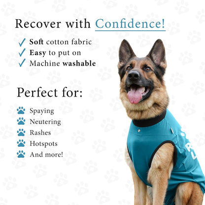 Dog Surgery Recovery Suit, Male Female After Spay Neuter Onesie