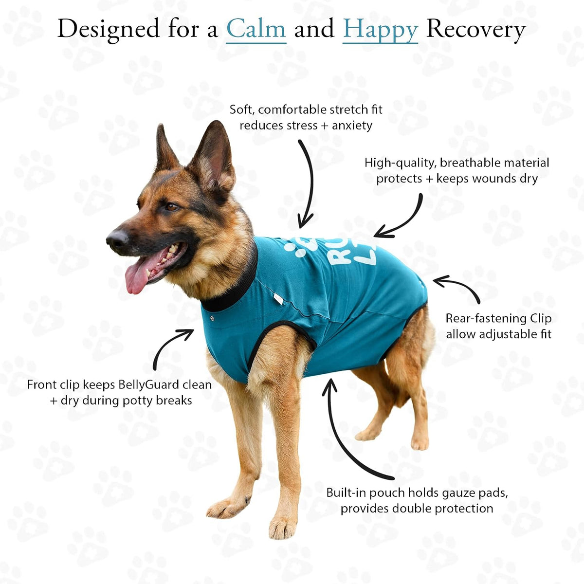 Dog Surgery Recovery Suit, Male Female After Spay Neuter Onesie
