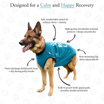Dog Surgery Recovery Suit, Male Female After Spay Neuter Onesie