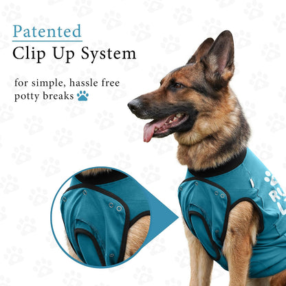 Dog Surgery Recovery Suit, Male Female After Spay Neuter Onesie