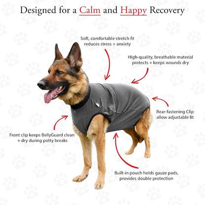 Dog Surgery Recovery Suit, Male Female After Spay Neuter Onesie