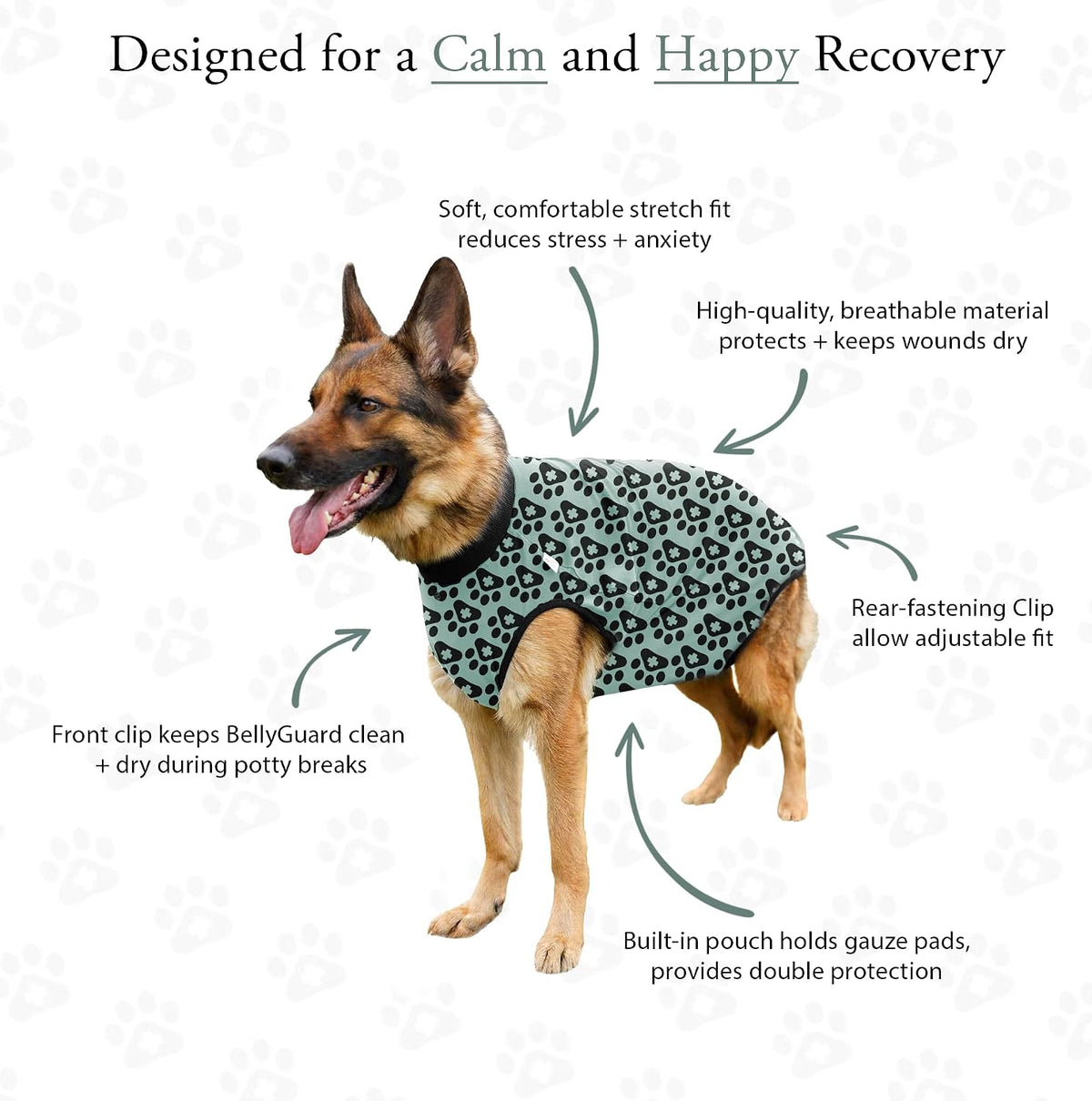 Dog Surgery Recovery Suit, Male Female After Spay Neuter Onesie