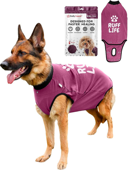 Dog Surgery Recovery Suit, Male Female After Spay Neuter Onesie