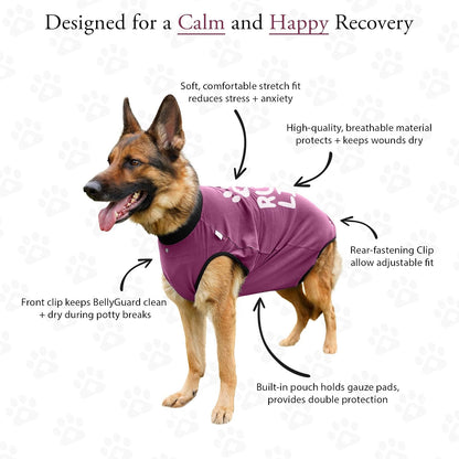 Dog Surgery Recovery Suit, Male Female After Spay Neuter Onesie