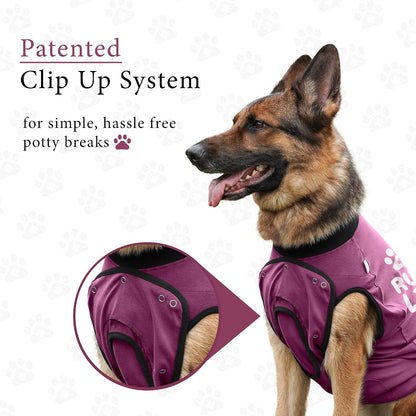 Dog Surgery Recovery Suit, Male Female After Spay Neuter Onesie