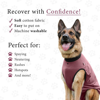 Dog Surgery Recovery Suit, Male Female After Spay Neuter Onesie