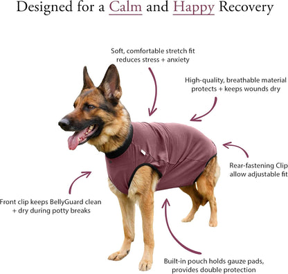 Dog Surgery Recovery Suit, Male Female After Spay Neuter Onesie