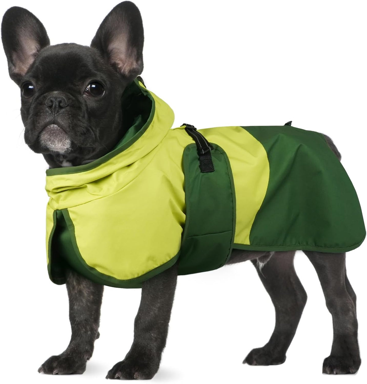 Dog Raincoat, Waterproof Rain Jacket with Hood, Green, S
