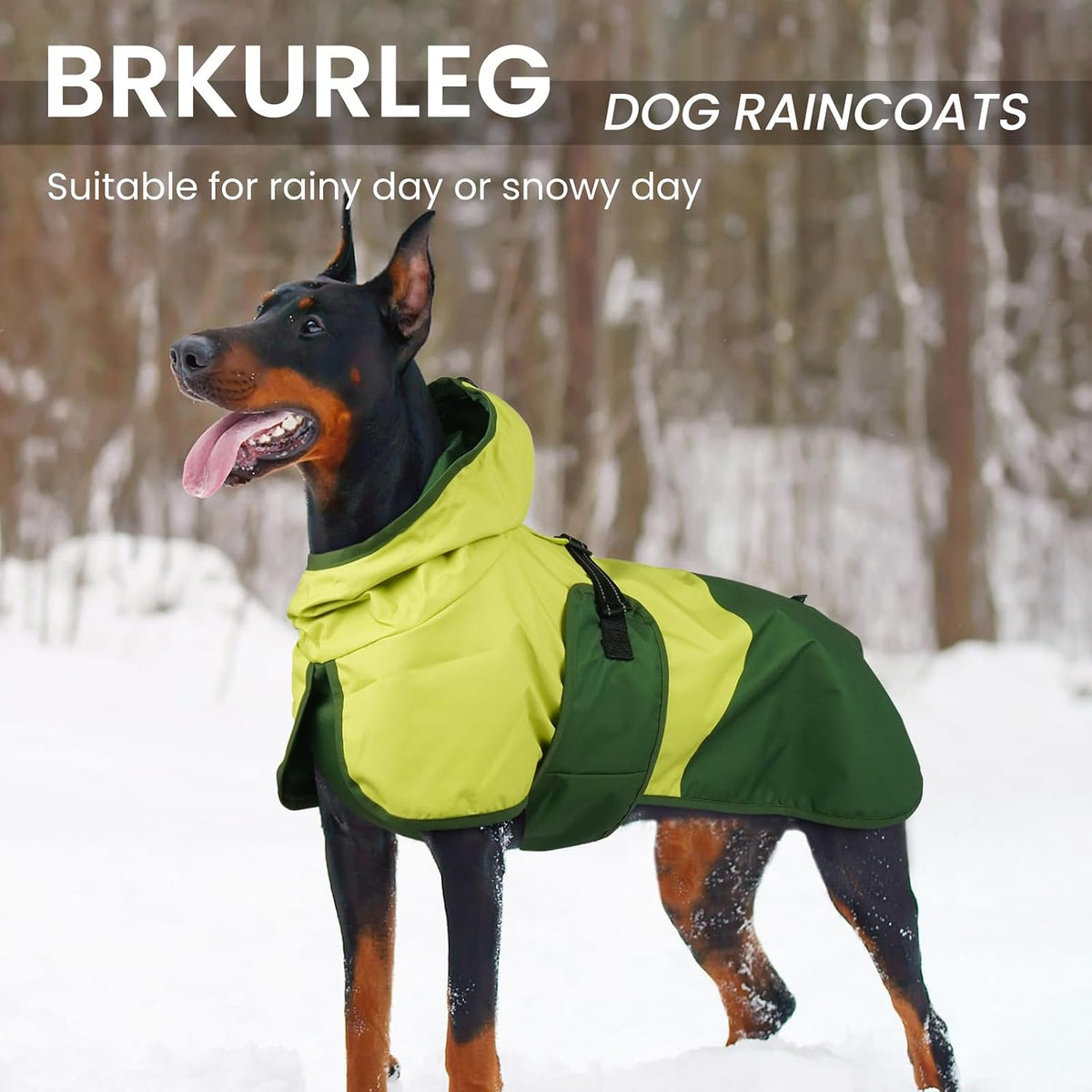 Dog Raincoat, Waterproof Rain Jacket with Hood, Green, S
