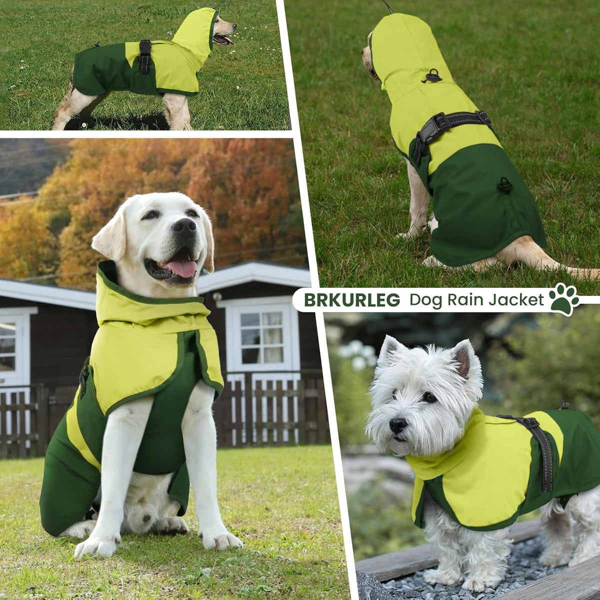 Dog Raincoat, Waterproof Rain Jacket with Hood, Green, S