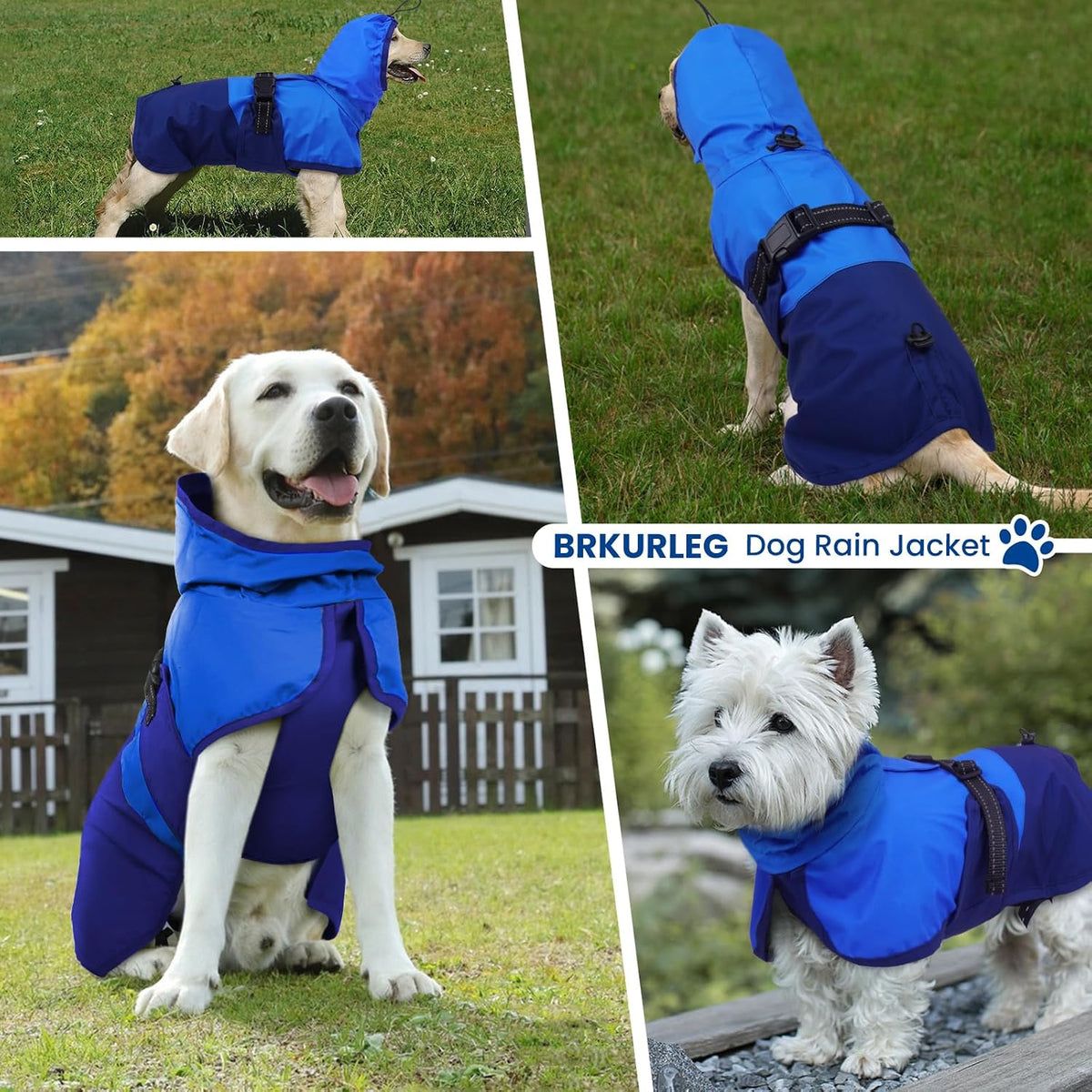 Dog Raincoat, Waterproof Rain Jacket with Hood, Green, S