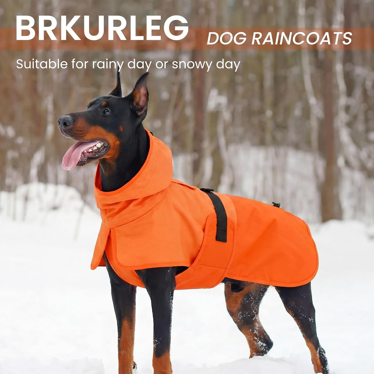 Dog Raincoat, Waterproof Rain Jacket with Hood, Green, S