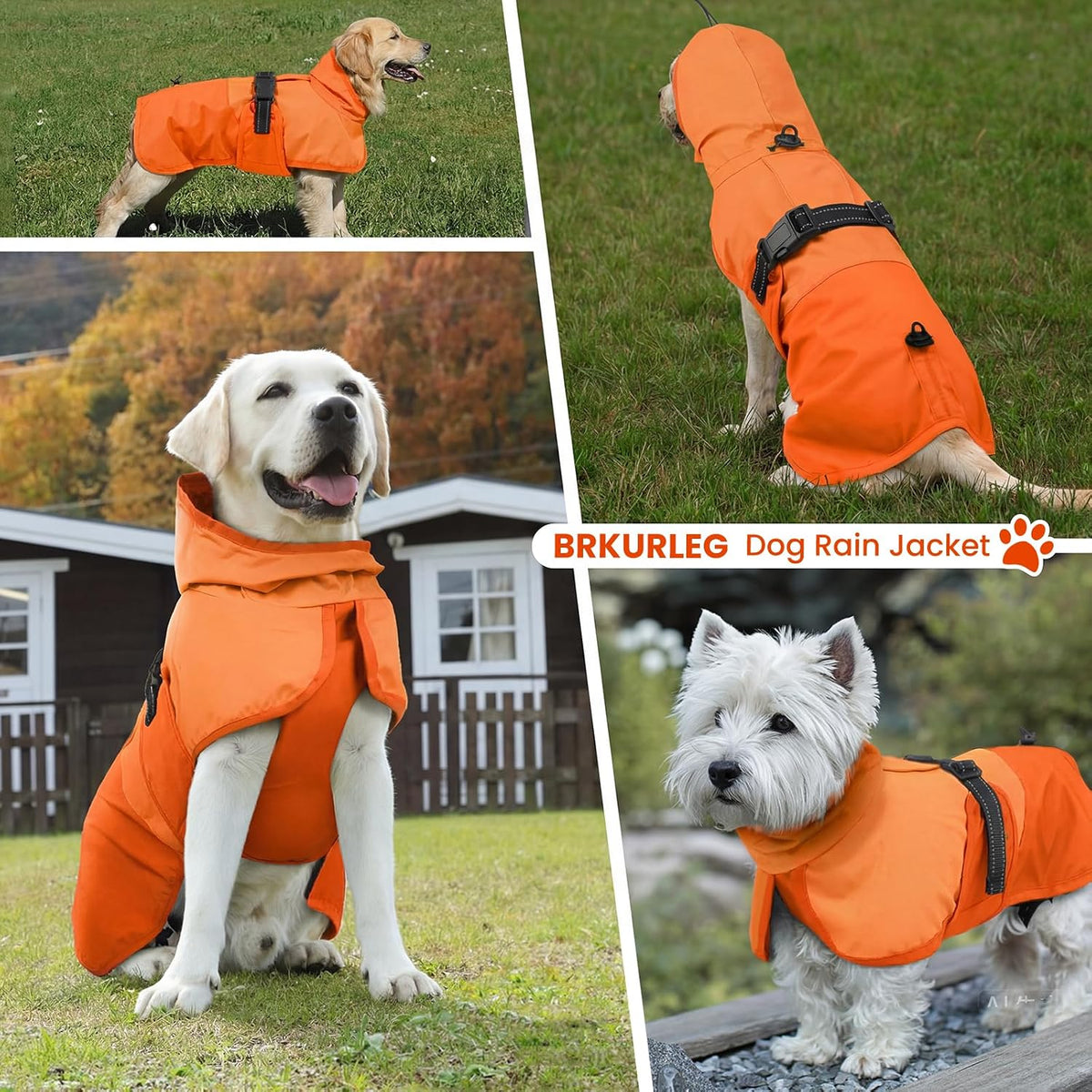 Dog Raincoat, Waterproof Rain Jacket with Hood, Green, S