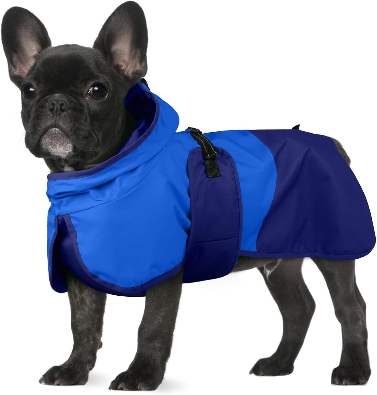 Dog Raincoat, Waterproof Rain Jacket with Hood, Green, S