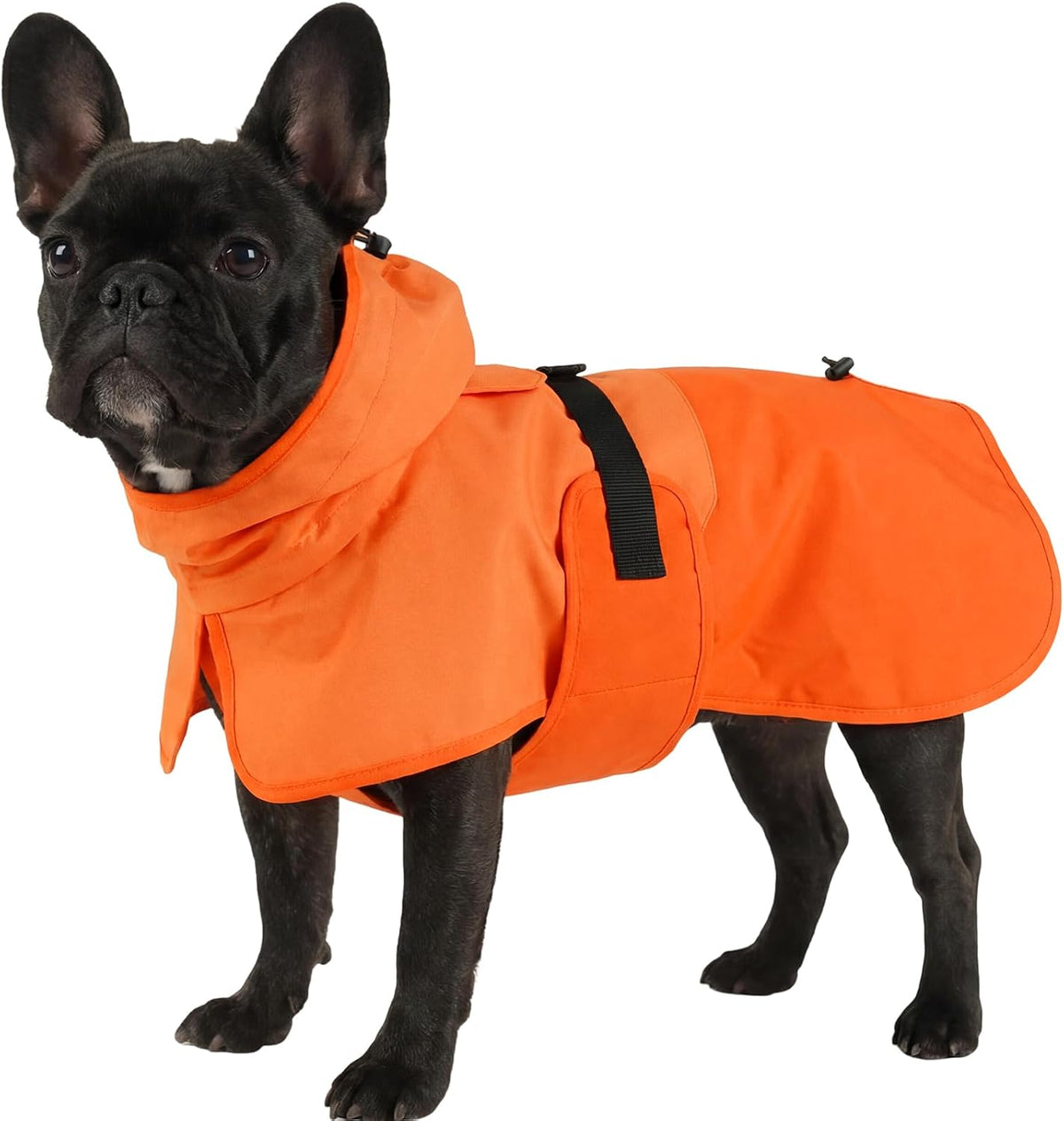 Dog Raincoat, Waterproof Rain Jacket with Hood, Green, S