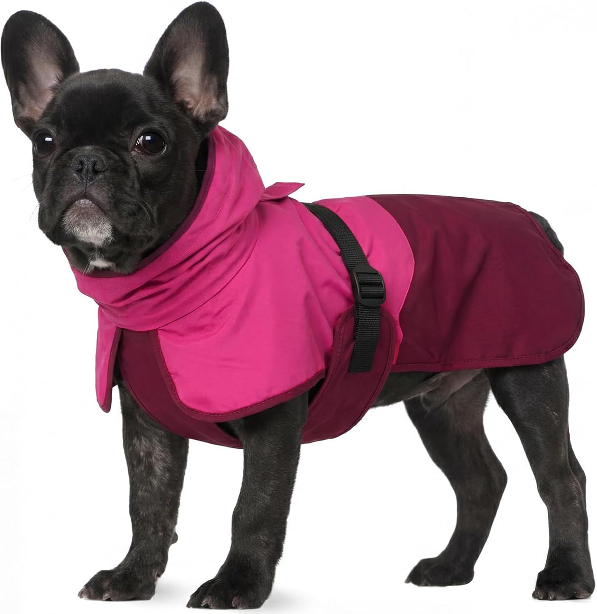 Dog Raincoat, Waterproof Rain Jacket with Hood, Green, S