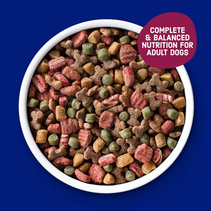 Dry Dog Food, Savory Bacon & Steak Flavor for Adult Dogs 16 lb. Bag